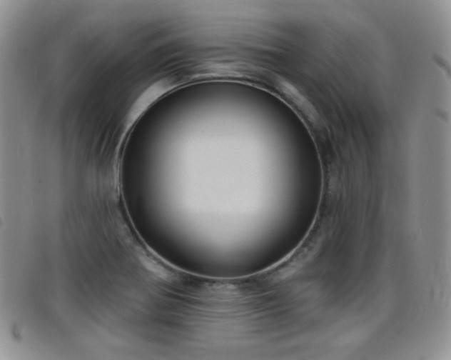 X0000098211370200804241311