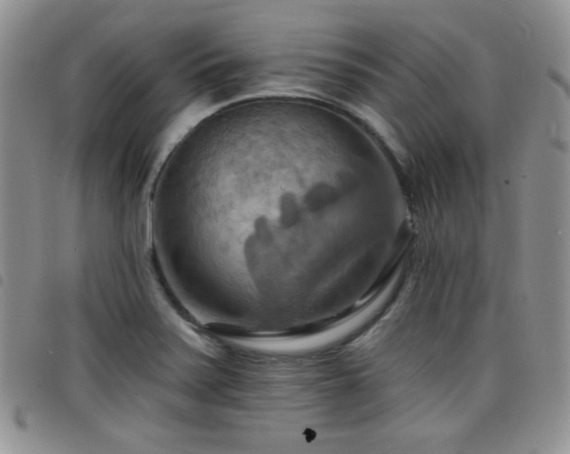 X0000098211371200804241311