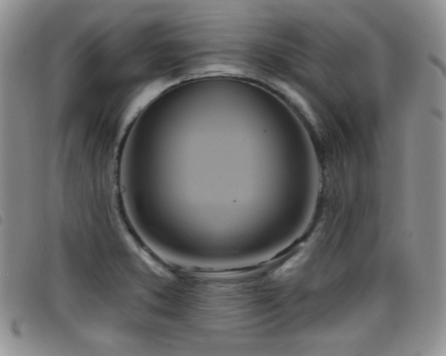 X0000098211373200804241311
