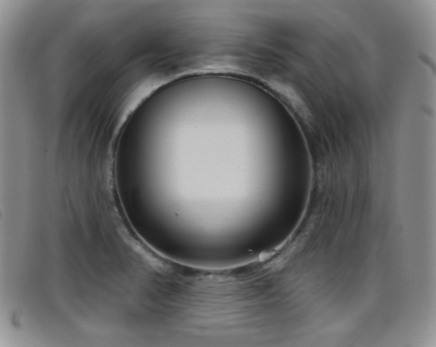 X0000098211374200804241311