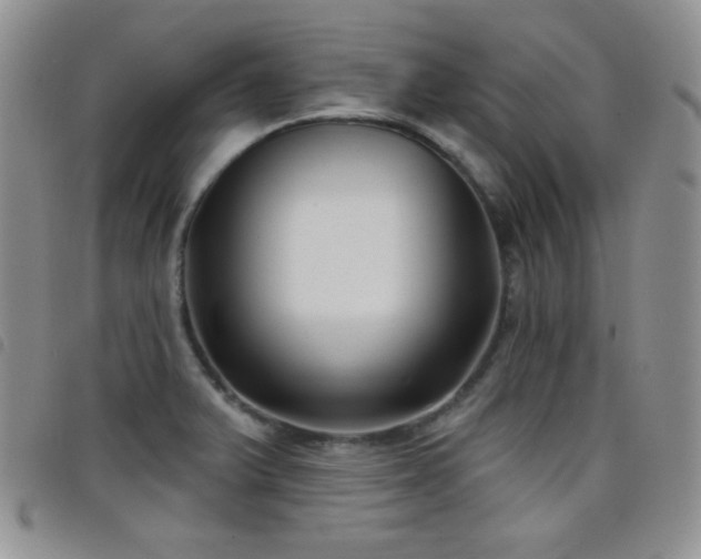 X0000098211375200804241311