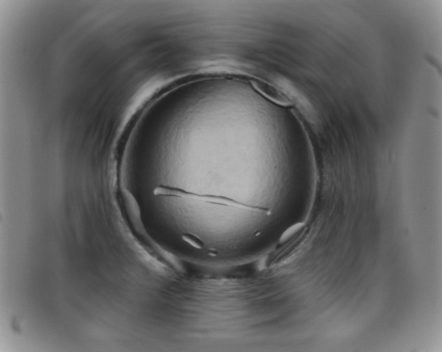 X0000098211376200804241311