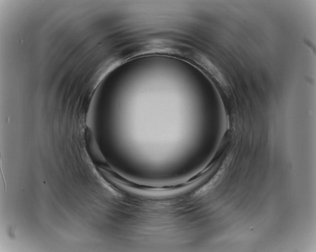 X0000098211377200804241311