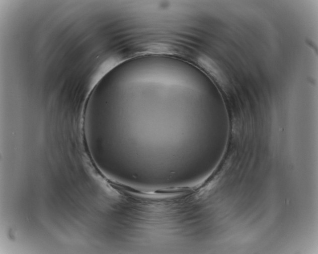 X0000098211378200804241311
