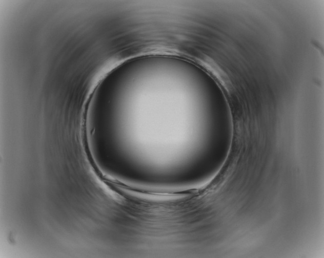X0000098211379200804241311