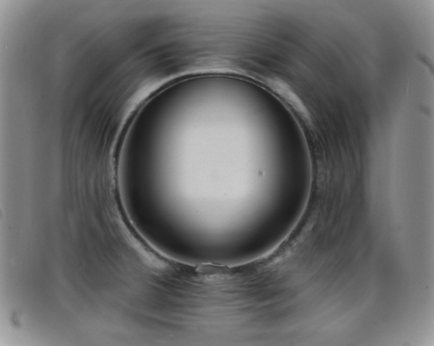 X0000098211380200804241311