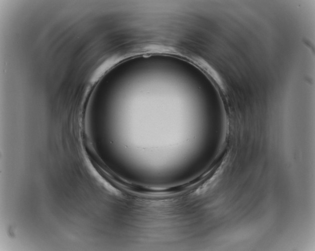 X0000098211381200804241310