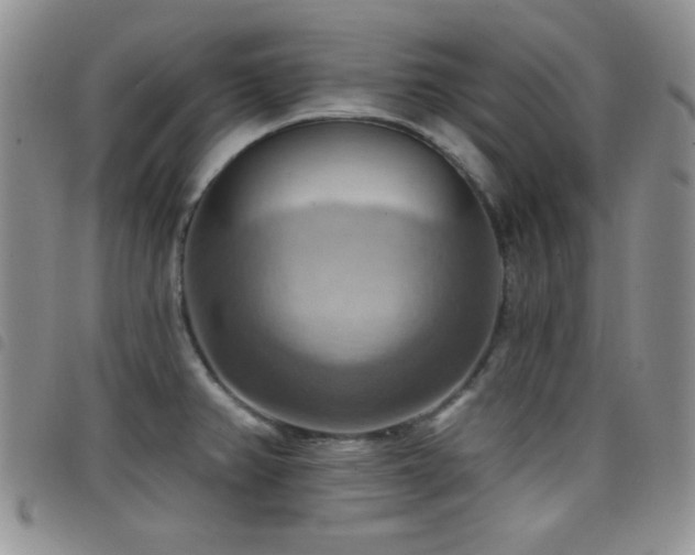 X0000098211382200804241310