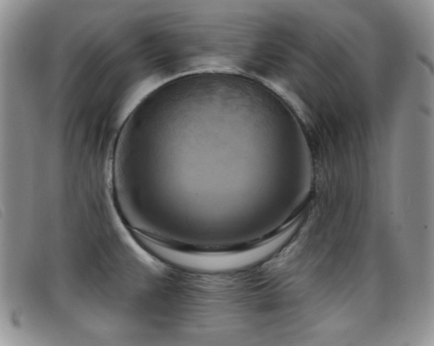 X0000098211383200804241310