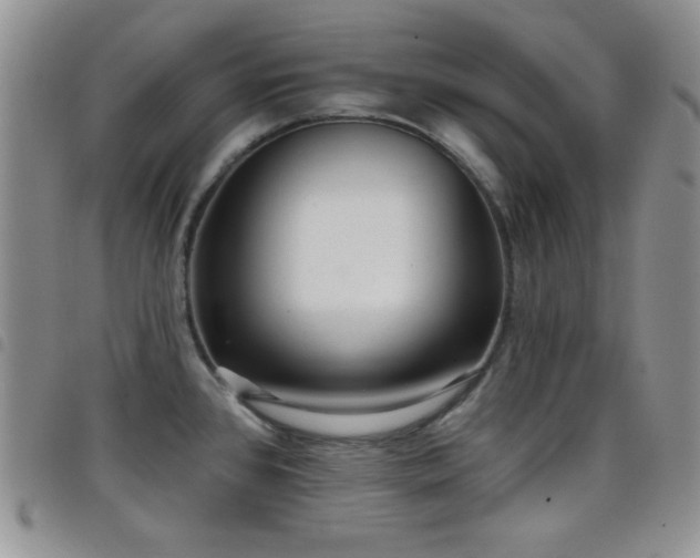 X0000098211384200804241310