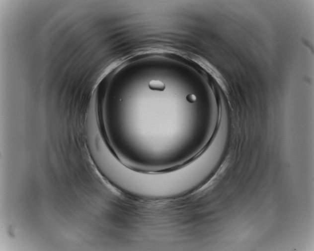 X0000098211385200804241310