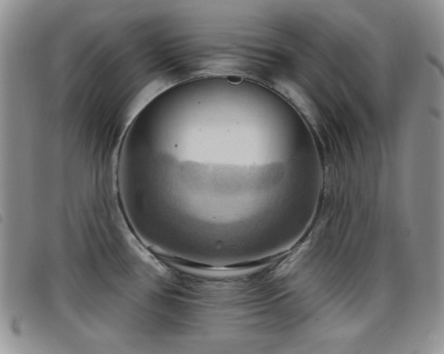 X0000098211386200804241310
