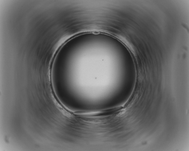 X0000098211388200804241310