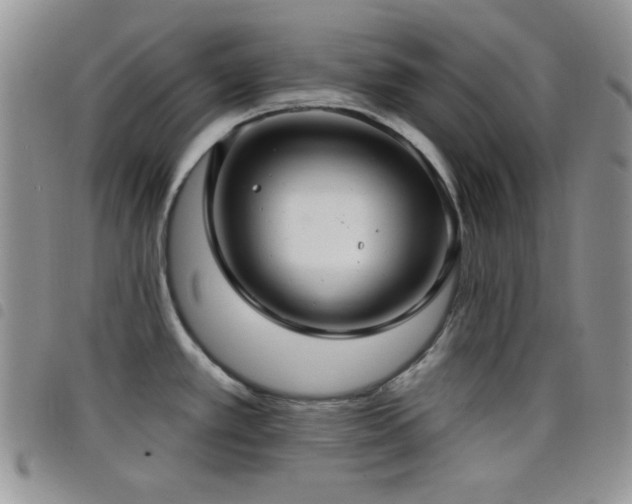 X0000098211389200804241310