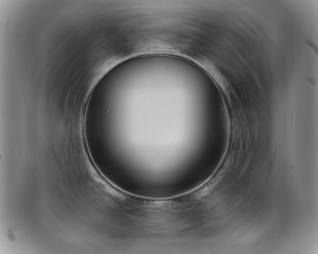 X0000098211390200804241310