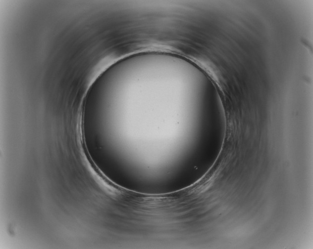 X0000098211391200804241310