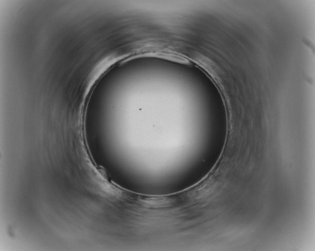 X0000098211392200804241310