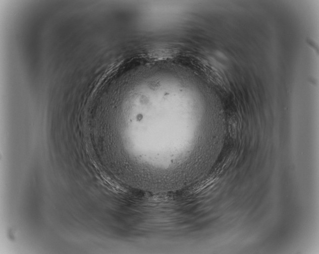 X0000098211393200804241310