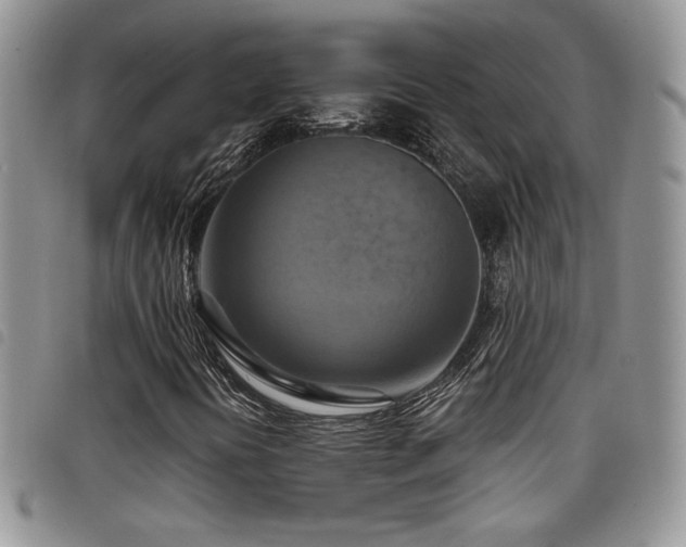 X0000098211394200804241310