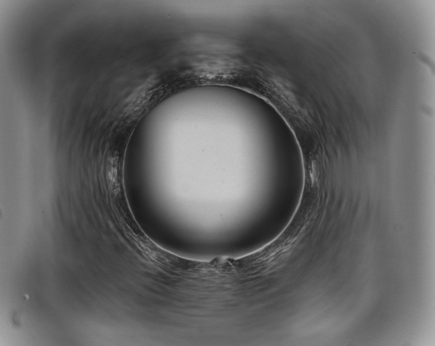 X0000098211396200804241310