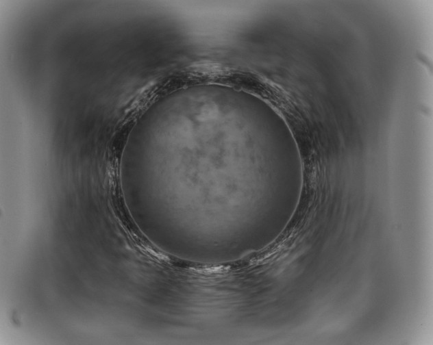 X0000098211397200804241310