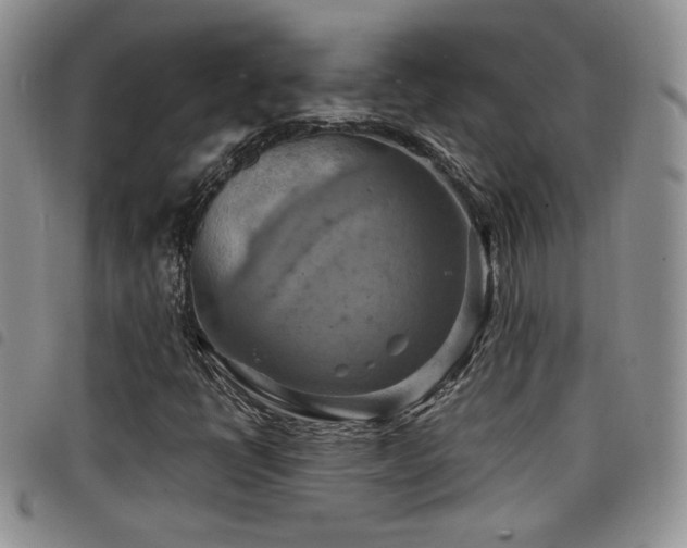 X0000098211398200804241310
