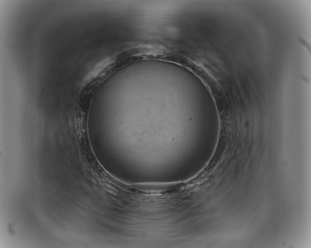 X0000098211399200804241310