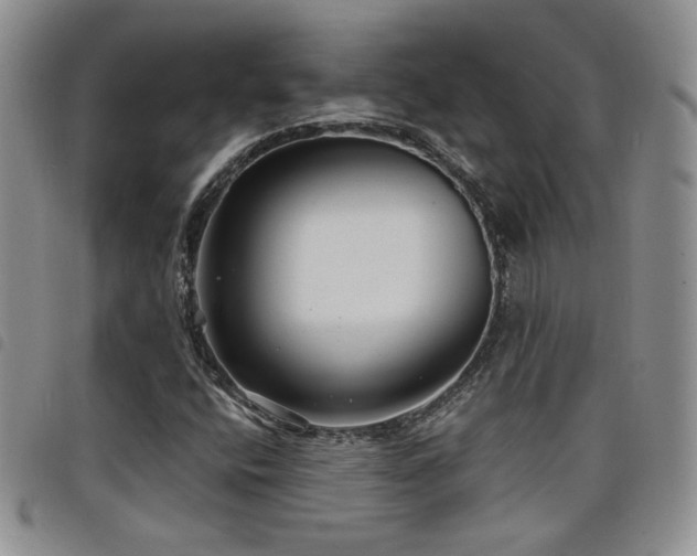 X0000098211400200804241310