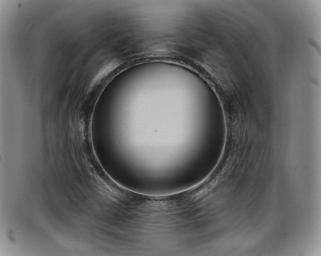X0000098211402200804241310