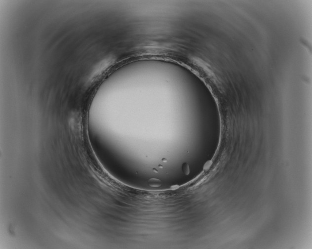 X0000098211403200804241310