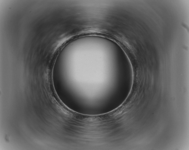 X0000098211404200804241310