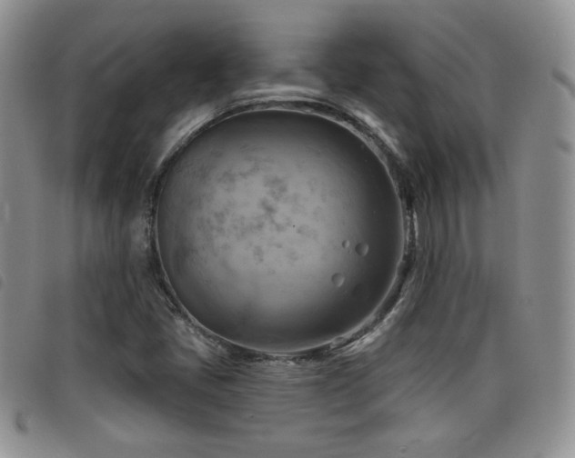 X0000098211405200804241310
