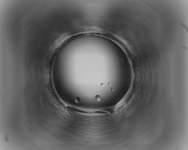 X0000098211407200804241310
