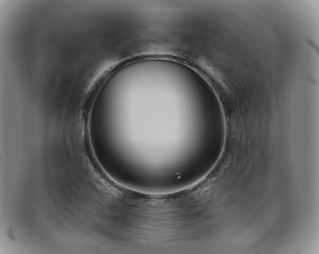 X0000098211408200804241310
