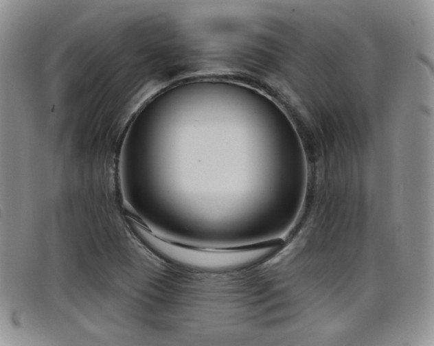 X0000098211409200804241310