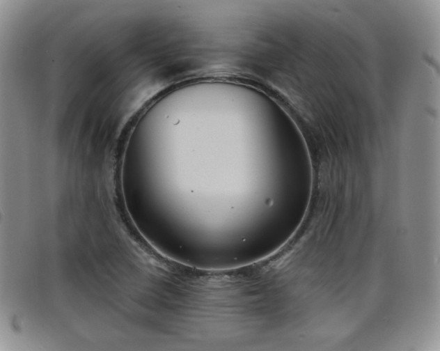 X0000098211410200804241310