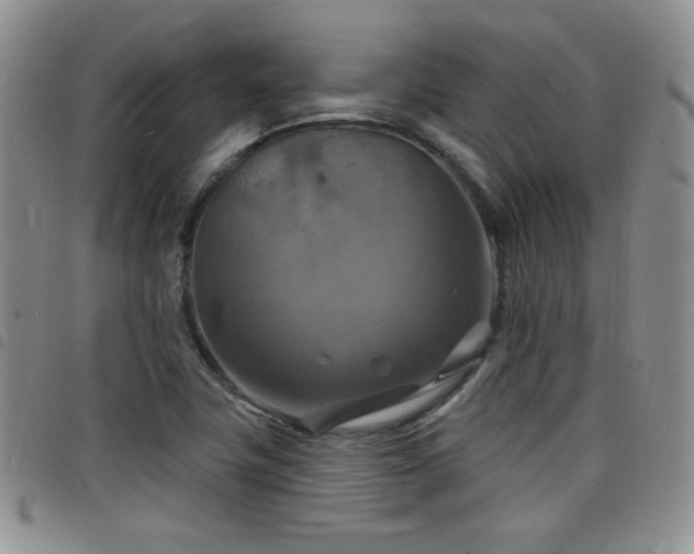 X0000098211411200804241310