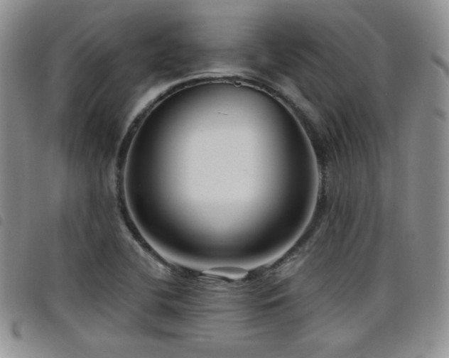 X0000098211412200804241310