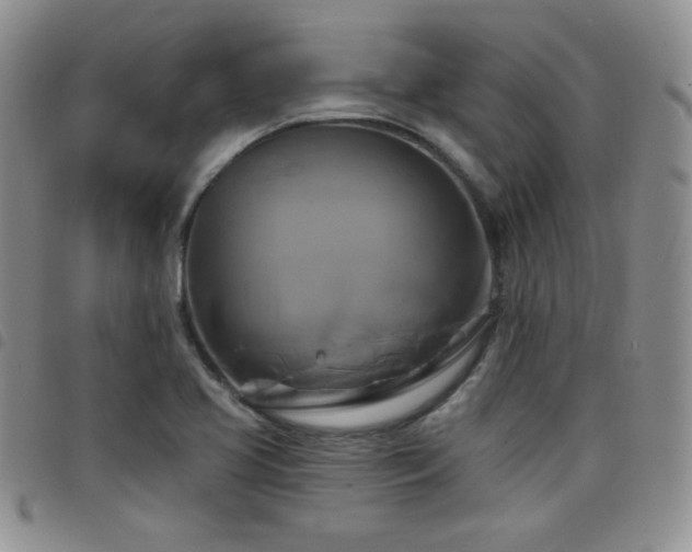X0000098211413200804241310
