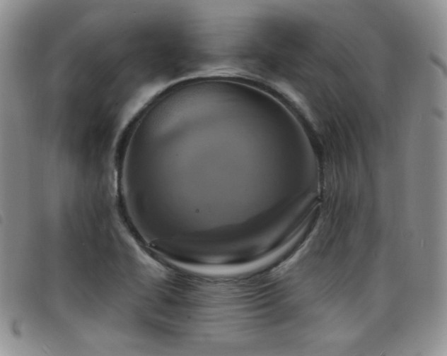 X0000098211414200804241310