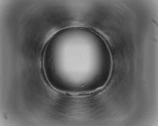 X0000098211415200804241310
