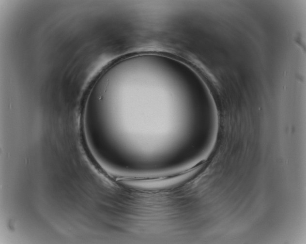 X0000098211416200804241310