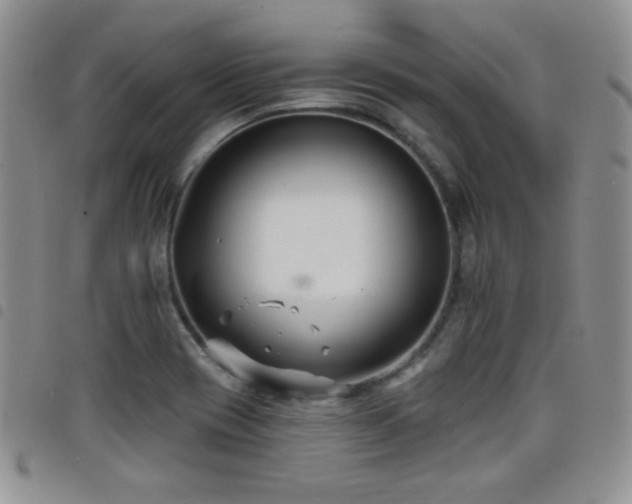 X0000098211417200804241310