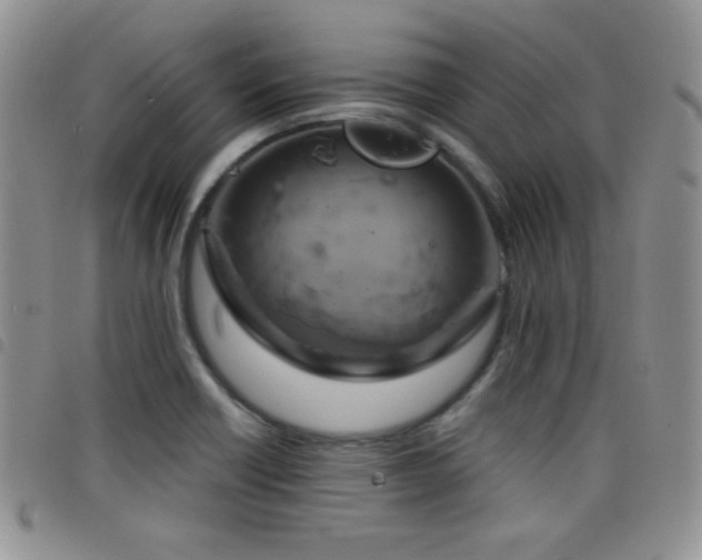 X0000098211418200804241310