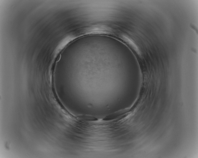 X0000098211419200804241310