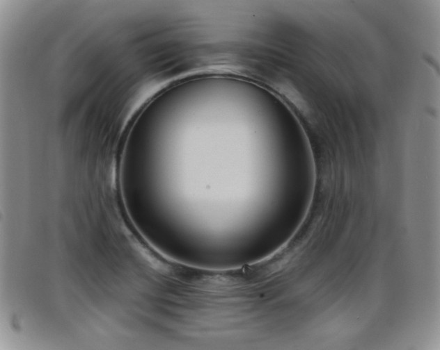 X0000098211420200804241310