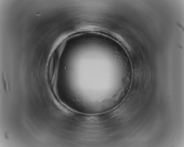 X0000098211421200804241310