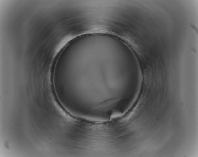 X0000098211422200804241310