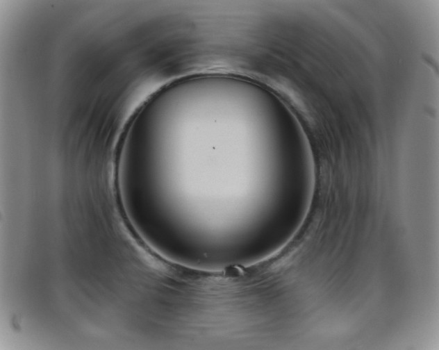 X0000098211424200804241310
