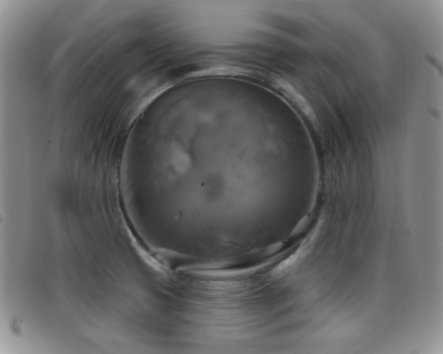 X0000098211425200804241310